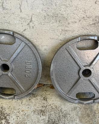 Dischi in ghisa 20 Kg diametro 50 mm