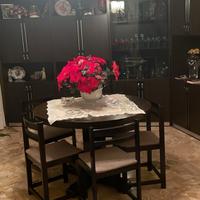 mobili + tavolo con sedie + lampadario