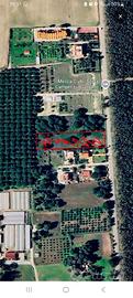 Terreno agricolo