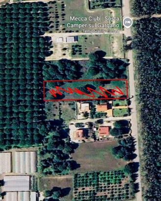 Terreno agricolo