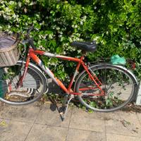Bicicletta donna con cestino