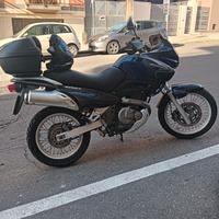 Suzuki XF Freewind 650