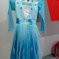 Vestito di carnevale Frozen