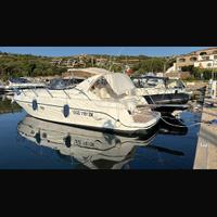 Sessa oyster 40