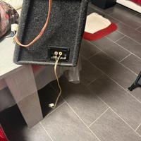 Subwofer ed amplificatore