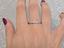 Immagine 13