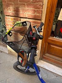 Bici elettrica pieghevole a pedalata assistita