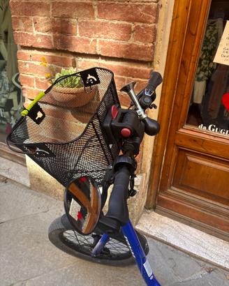 Bici elettrica pieghevole a pedalata assistita