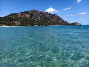 Sardegna villino con piscina vista mare