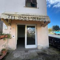 NEGOZIO A CAPANNORI