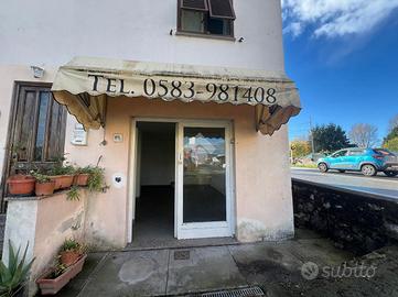 NEGOZIO A CAPANNORI