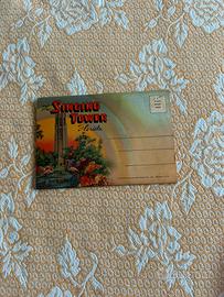 Poatcard vintage florida
