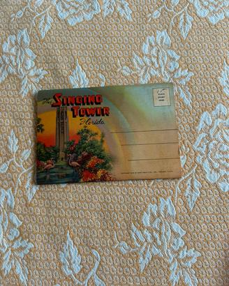 Poatcard vintage florida