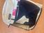 Immagine 3