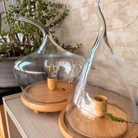 Coppia di Lampade da Tavolo in Vetro e legno