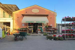Negozio di agraria