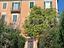 Immagine 14