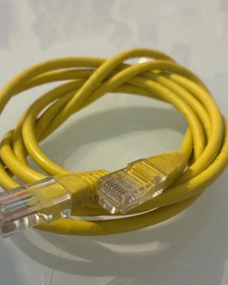Cavo di rete path Ethernet lan