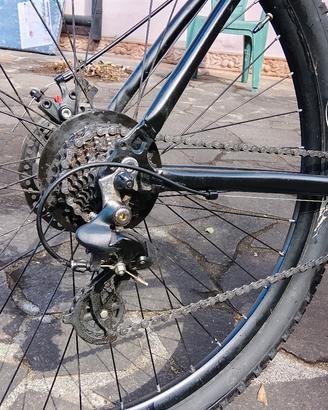 Bicicletta Mountain Bike