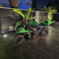 Kawasaki zx10r 2008 2009 2010