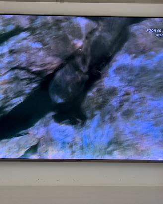 Tv qled Samsung 55”