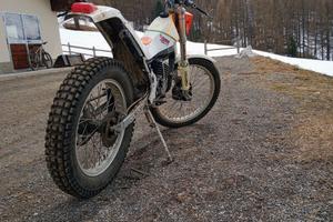 trial 50 cc