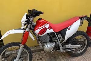 TTR 600