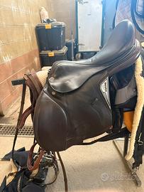 Sella Equiline 17.5 testa di moro