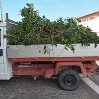 Pulizia cortili e giardini