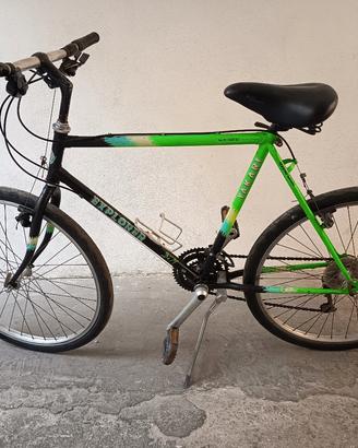 Bici/bicicletta/Mountain bike 