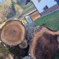 TRONCHI DI NOCE NOSTRANO