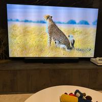 Samsung qled 65”