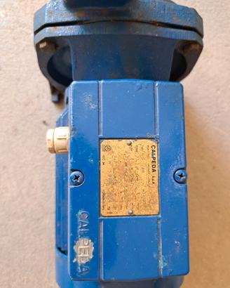 elettropompa centrifuga