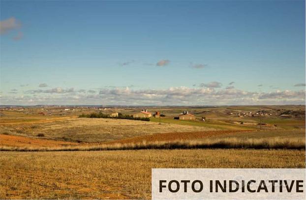 Terreno agricolo a Santa Maria la Longa(UD)