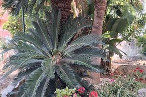 Camere, casa vacanze
