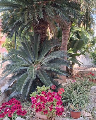 La Rugiada, Alcamo. casa vacanze