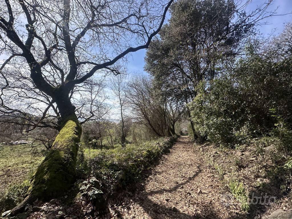 Terreno di 10000 m² a Trevignano Romano - Vista 4