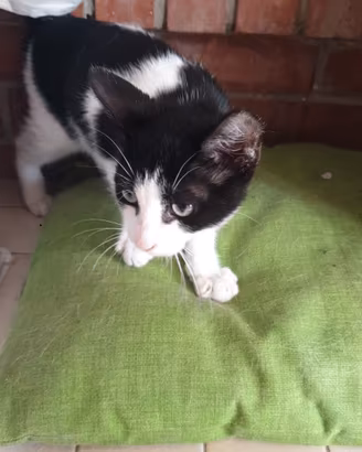 Bianco e nero