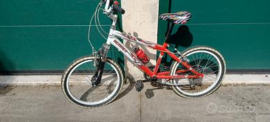bicicletta per ragazzo