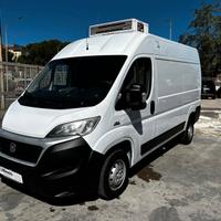 FIAT DUCATO FURGONE FRIGO 0° ATP VALIDA FNAX