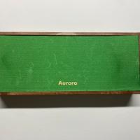 Penna stilografica Aurora 88P certificata