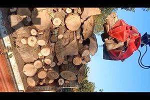 Polipo per escavatore