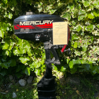 Motore Mercury 3.3 CV con libretto