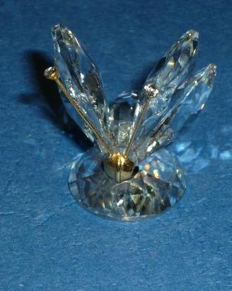 Farfalla Swarovski