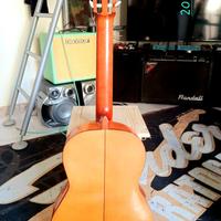 Miguel Angel🇪🇸chitarra classica flamenca anni60 