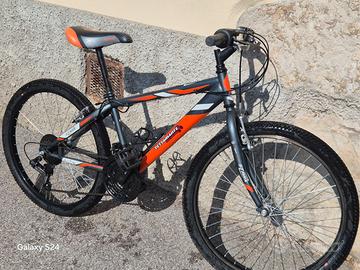 Mtb 24 Stark