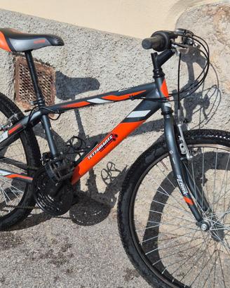 Mtb 24 Stark
