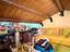 Immagine 12