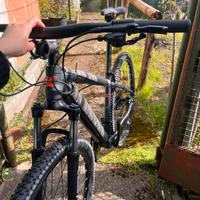 Mtb lee cougn rebel