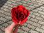 Immagine 5